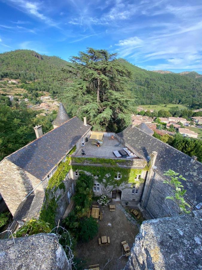 Le Chateau De Cambiaire Saint-Etienne-Vallee-Francaise エクステリア 写真