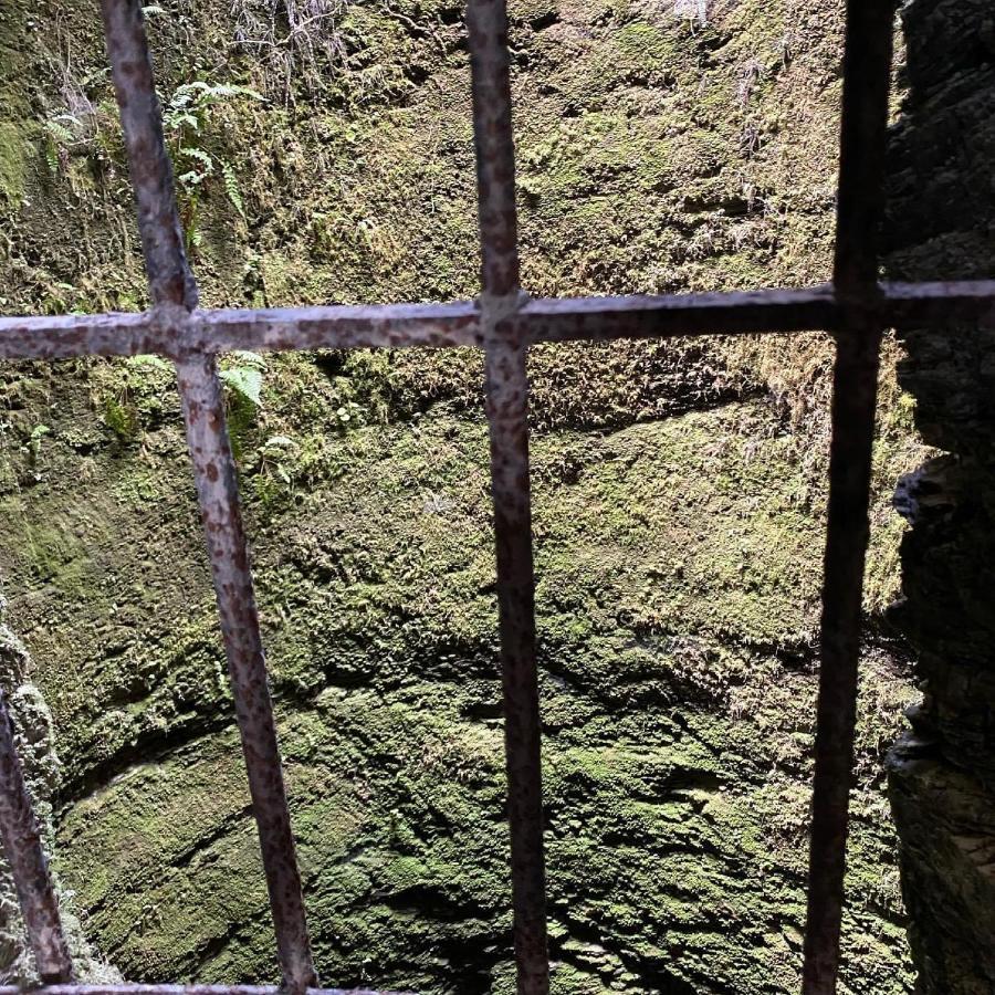 Le Chateau De Cambiaire Saint-Etienne-Vallee-Francaise エクステリア 写真