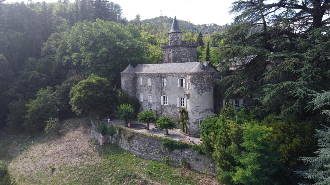 Le Chateau De Cambiaire Saint-Etienne-Vallee-Francaise エクステリア 写真